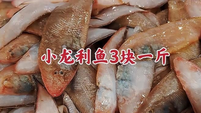 龍利魚去哪里買【網(wǎng)購(gòu)龍利魚排行榜京東“龍利魚”鮮嫩無(wú)刺】