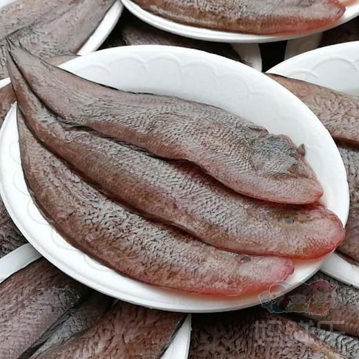 龍利魚去哪里買【網(wǎng)購(gòu)龍利魚排行榜京東“龍利魚”鮮嫩無(wú)刺】