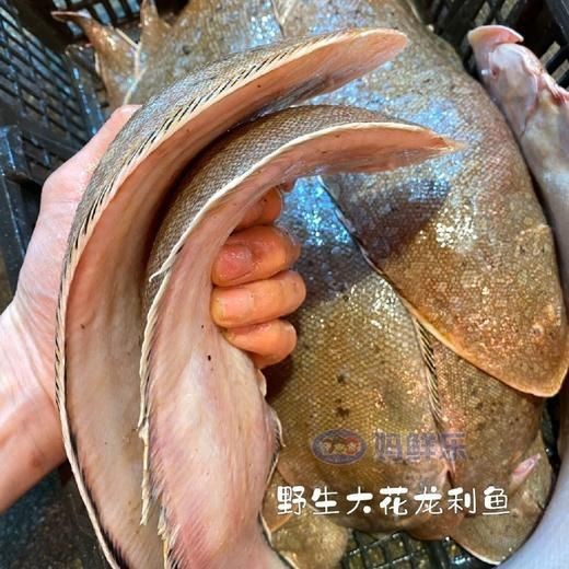 龍利魚去哪里買【網(wǎng)購(gòu)龍利魚排行榜京東“龍利魚”鮮嫩無(wú)刺】