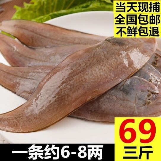 龍利魚去哪里買【網(wǎng)購(gòu)龍利魚排行榜京東“龍利魚”鮮嫩無(wú)刺】
