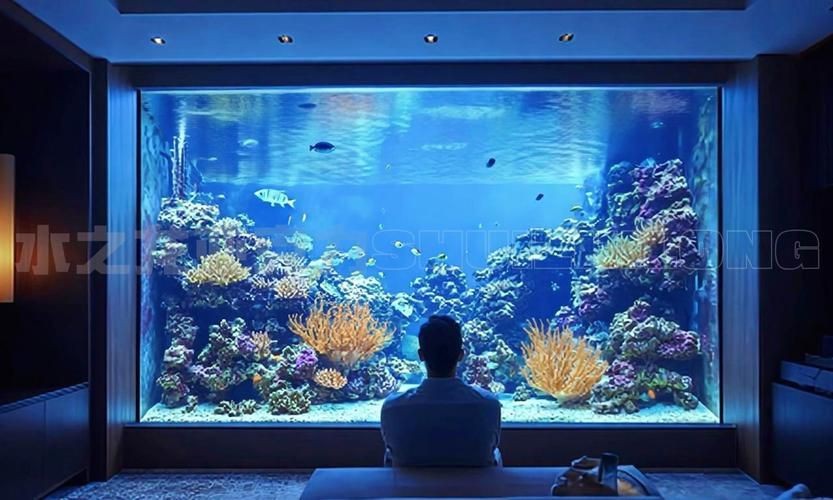 客廳魚缸的最佳擺放圖【《客廳魚缸的最佳擺放圖》*魚缸擺放有講究】