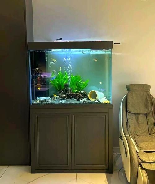客廳魚缸的最佳擺放圖【《客廳魚缸的最佳擺放圖》*魚缸擺放有講究】