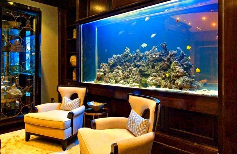 客廳魚缸的最佳擺放圖【《客廳魚缸的最佳擺放圖》*魚缸擺放有講究】