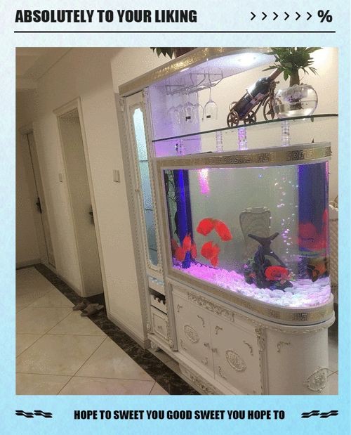 客廳魚缸的最佳擺放圖【《客廳魚缸的最佳擺放圖》*魚缸擺放有講究】