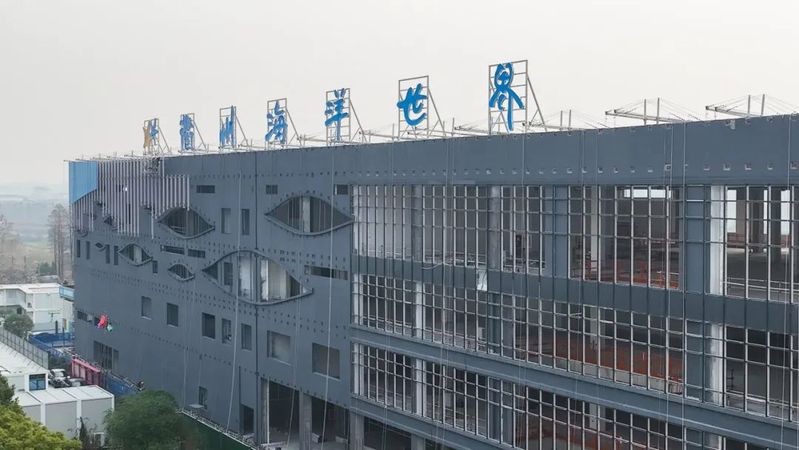 衢州水族店【衢州有哪些水族店？】