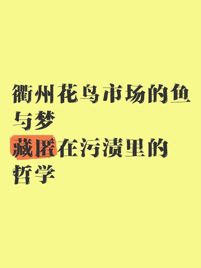 衢州水族店【衢州有哪些水族店？】