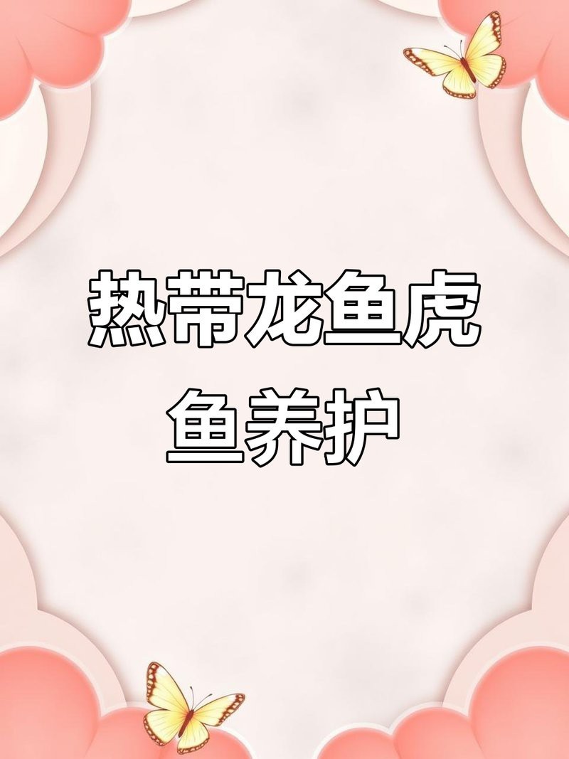 龍魚和虎魚誰旺誰【龍魚與虎魚混養的風水作用及其相互關系】