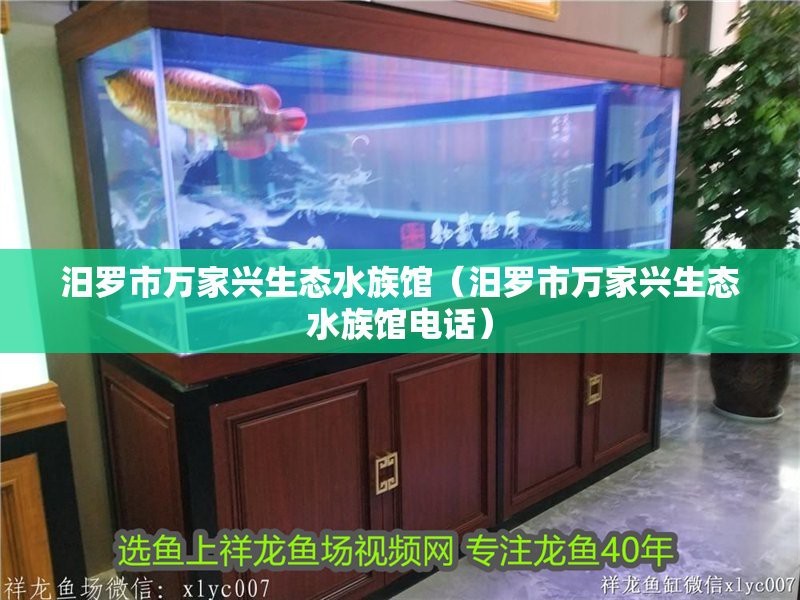 汨羅龍魚店【汨羅龍魚店價格范圍汨羅龍魚店有哪些龍魚品種】