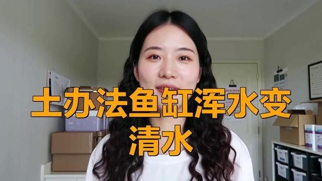 如何優化魚缸水質？【水族魚缸水質管理全攻略】