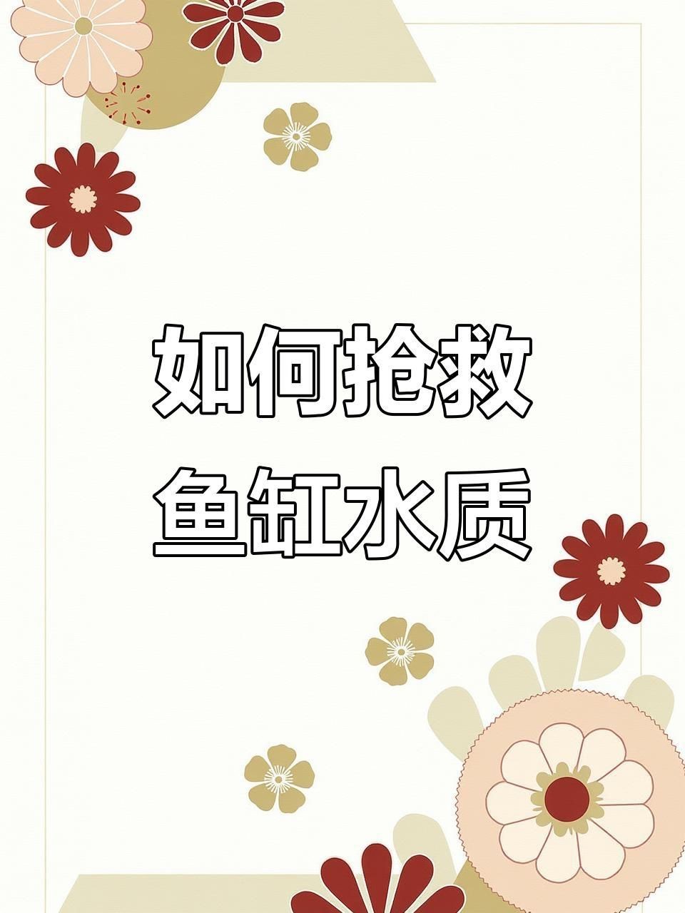 如何優化魚缸水質？【水族魚缸水質管理全攻略】