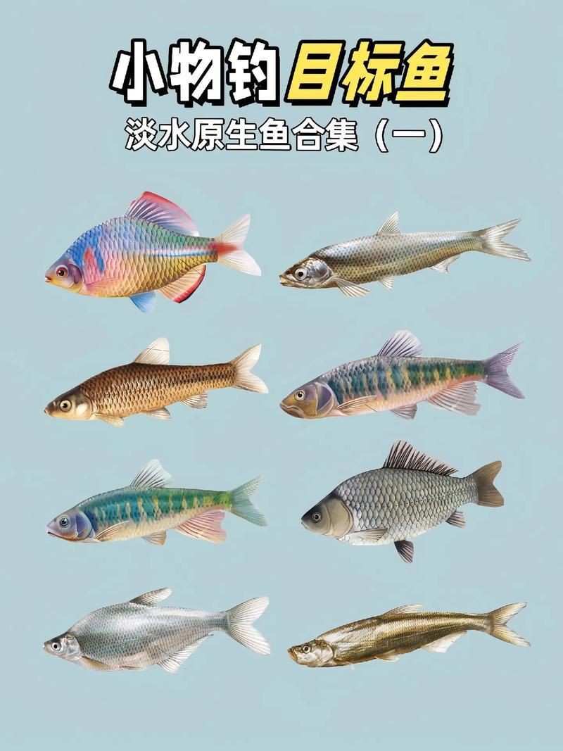 各種小魚圖片大全【小型魚類的獨特魅力】