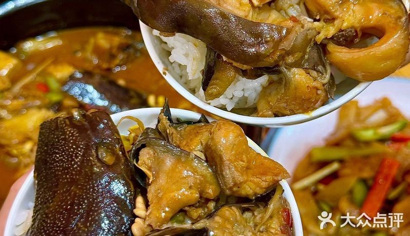 阿巴嘎龍魚店【三亞阿巴嘎龍魚店】