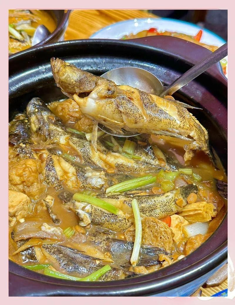 阿巴嘎龍魚店【三亞阿巴嘎龍魚店】