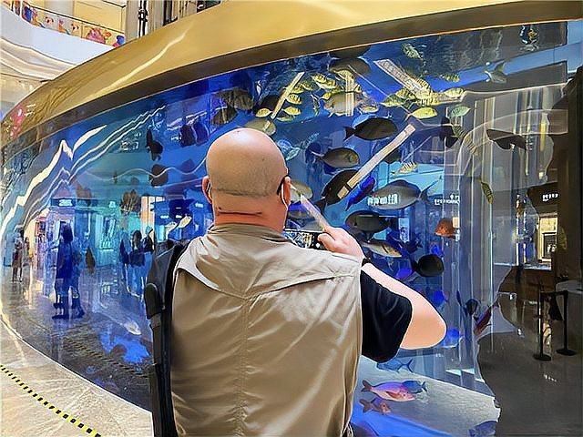 楚州水族店【楚城水族和南美水族有何特色】