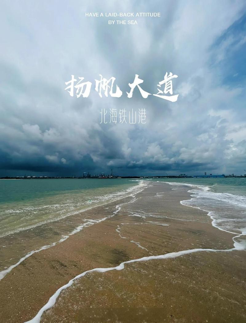 鐵山港龍魚店【鐵山港龍魚店\