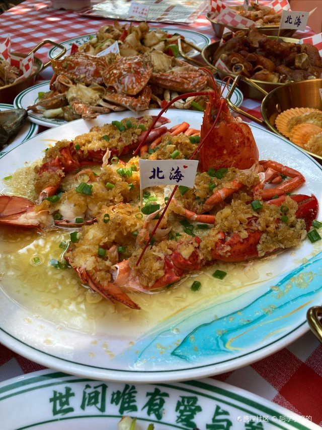 鐵山港龍魚店【鐵山港龍魚店\