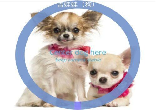 識別狗狗品種軟件【ai識寵拍照識別犬軟件有哪些】