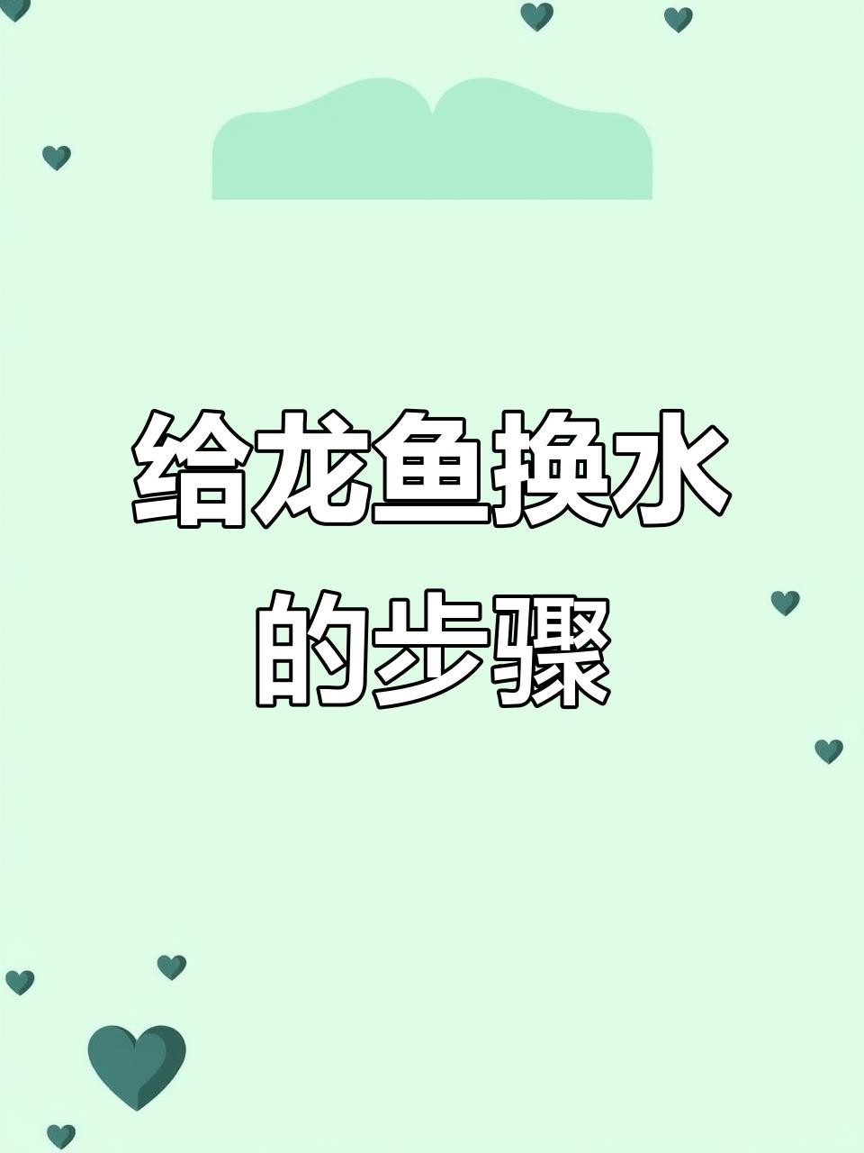 如何保持過背金頭龍魚的水質穩定？【如何保持過背金頭龍魚水質穩定】