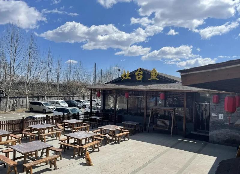靈丘龍魚店【靈丘龍魚店——水族世界的奇妙角落】