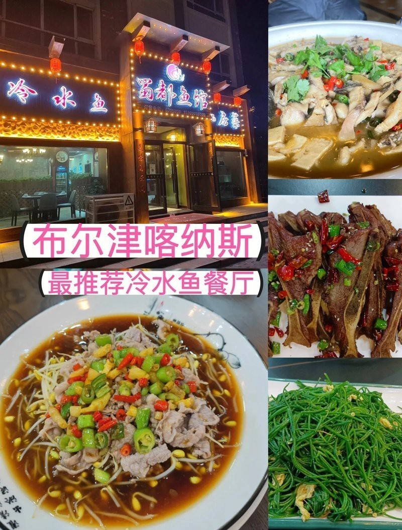 甘洛龍魚店【《甘洛龍魚店：水族世界的奇妙角落》】
