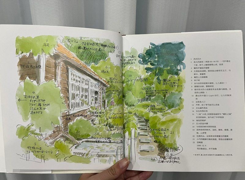龍貓鎮宅還是招鬼【關于龍貓鎮宅還是招鬼存在不同說法，龍貓外形可愛】