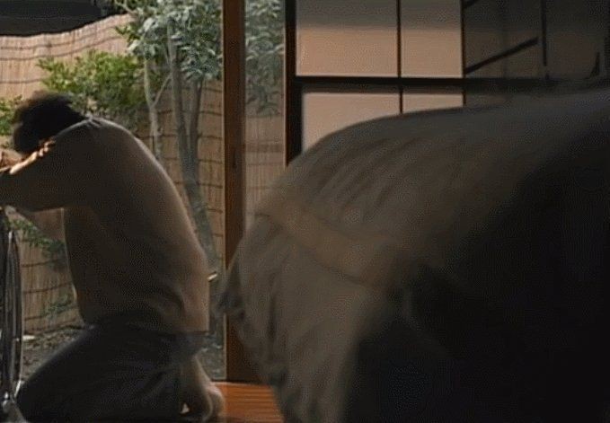 龍貓鎮宅還是招鬼【關于龍貓鎮宅還是招鬼存在不同說法，龍貓外形可愛】 龍貓鎮宅還是招鬼【關于龍貓鎮宅還是招鬼存在不同說法，龍貓外形可愛】 龍魚百科 第7張