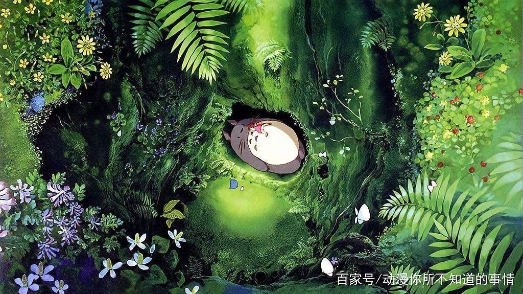 龍貓鎮宅還是招鬼【關于龍貓鎮宅還是招鬼存在不同說法，龍貓外形可愛】 龍貓鎮宅還是招鬼【關于龍貓鎮宅還是招鬼存在不同說法，龍貓外形可愛】 龍魚百科 第16張