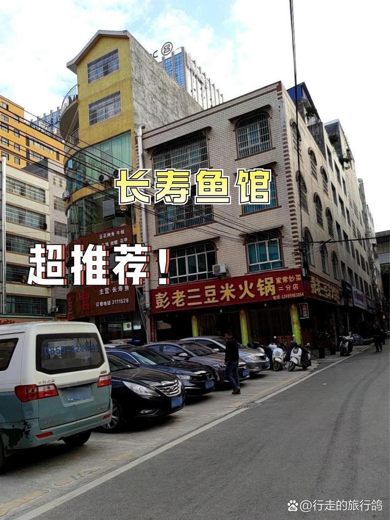 長壽龍魚店【開個龍魚店需要多少錢創(chuàng)業(yè)機(jī)遇等你來抓】