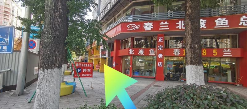 綦江龍魚店【重慶綦江有沒有龍魚店】