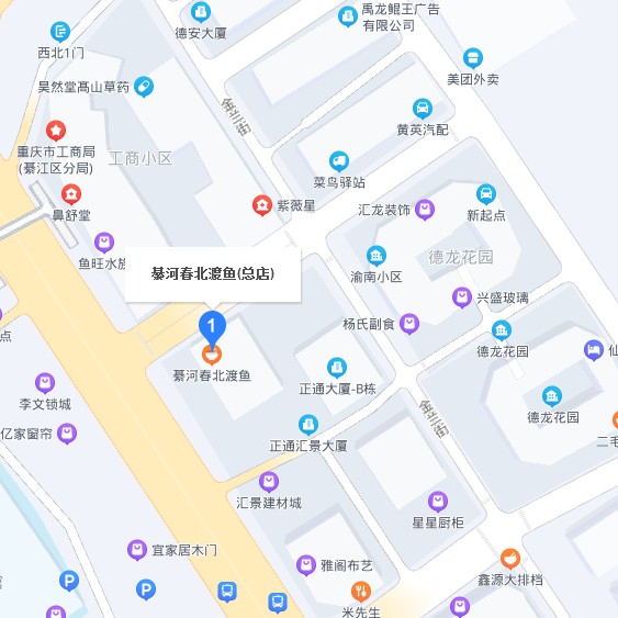 綦江龍魚店【重慶綦江有沒有龍魚店】