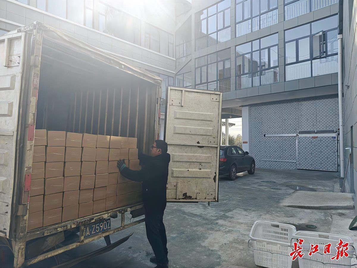 黃陂龍魚店【長江日報黃陂龍魚店的價格如何】