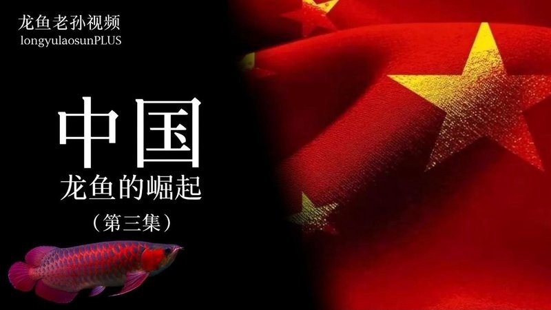 老吳說龍魚最經(jīng)典三個版本【《老吳說龍魚最經(jīng)典三個版本》*廣州龍魚祥龍魚青囊】