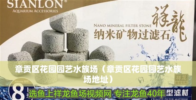 章貢龍魚店【章貢龍魚店——水族世界的奇妙角落】