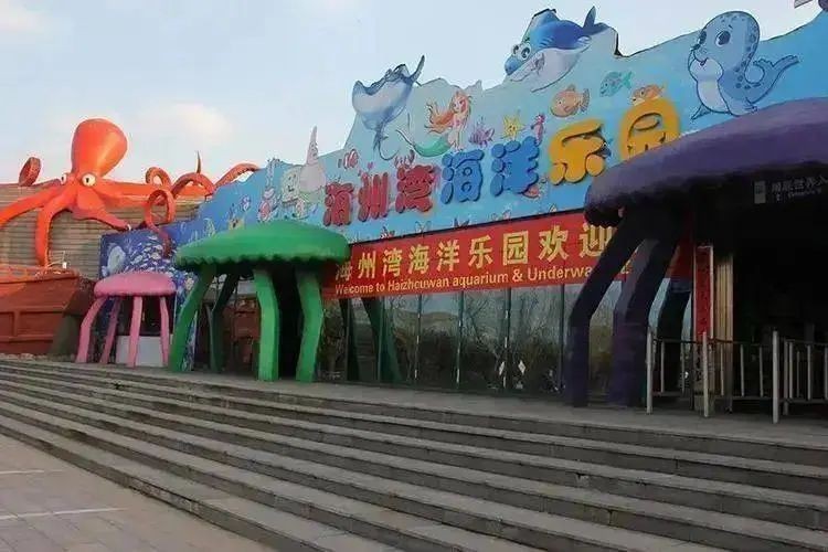 連云港海州水族店【海洋精靈的奇妙世界】