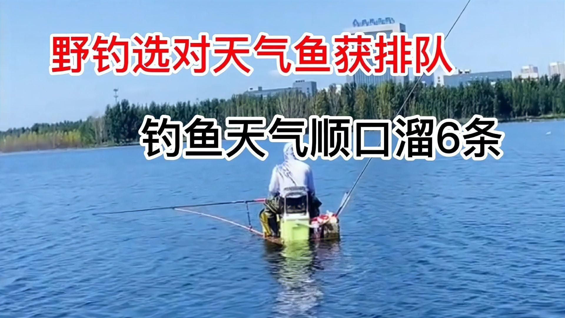 如何預防魚浮頭現象？【全民小視頻,00:44魚浮頭原因大揭秘，五種情況幫你搞定全民小視頻】 如何預防魚浮頭現象？【全民小視頻,00:44魚浮頭原因大揭秘，五種情況幫你搞定全民小視頻】 龍魚百科 第8張