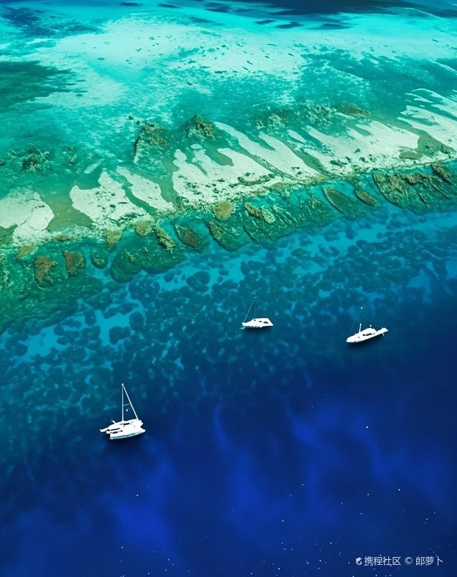 <strong><mark>西沙</mark></strong>水族店【海洋精靈的奇妙世界】