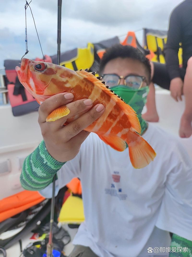西沙水族店【海洋精靈的奇妙世界】