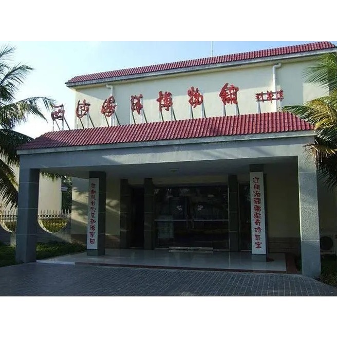 西沙水族店【海洋精靈的奇妙世界】