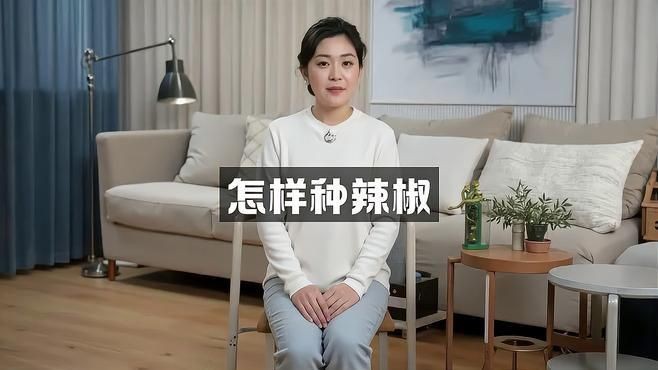 辣椒種植方法和注意事項【怎樣種辣椒生態牧人辣椒高產種植全程水肥管理方案】