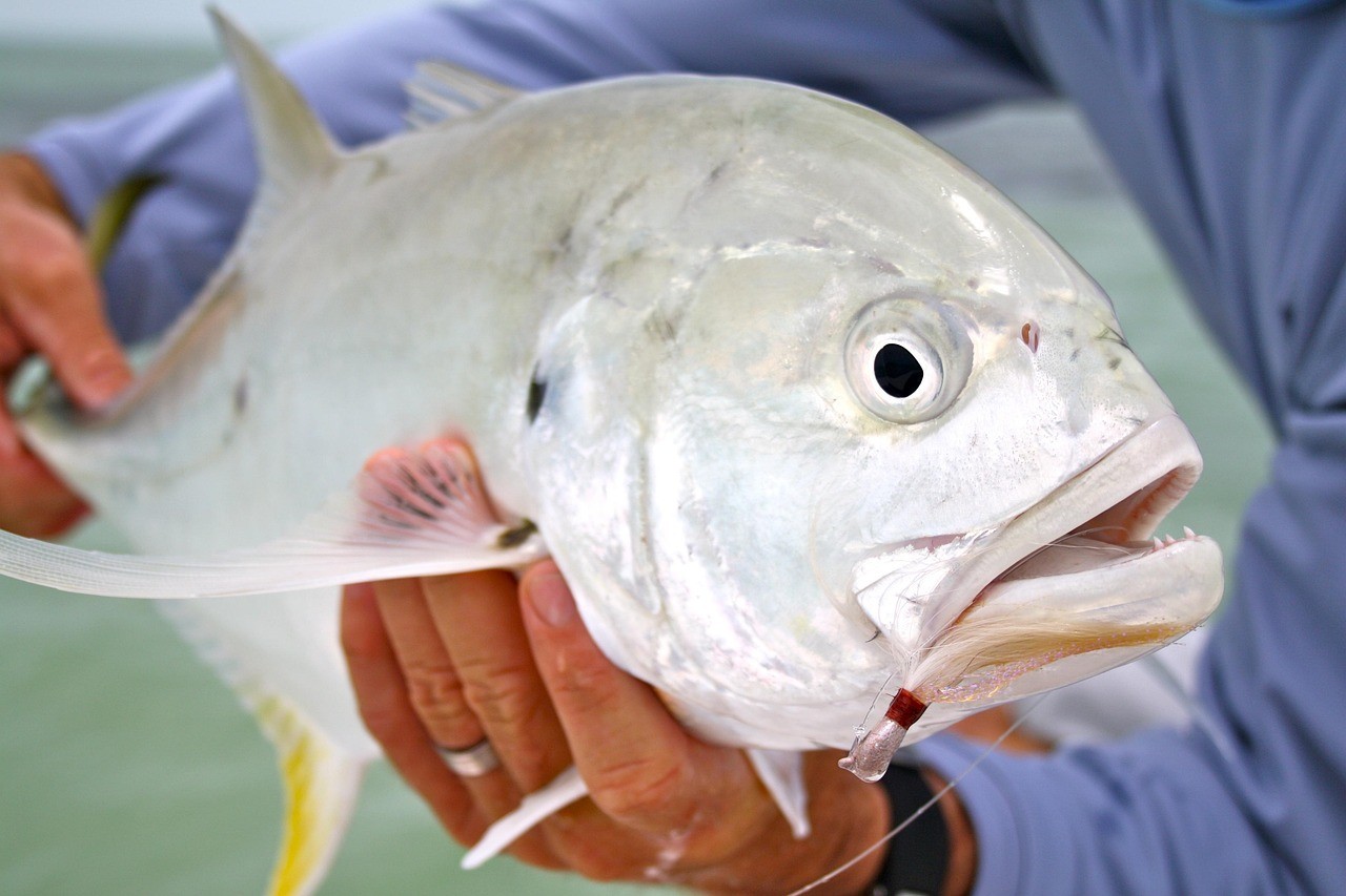 龍魚漁場四大品牌哪個更好一些【龍魚漁場四大品牌中哪個品牌售后服務更好？】