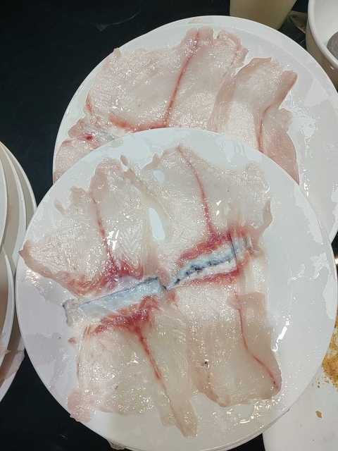 鐵嶺縣龍魚店【鐵嶺縣龍魚店——水族世界的璀璨明珠】