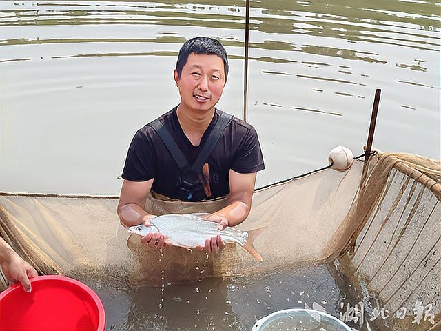 鄖陽龍魚店【《鄖陽龍魚店：水族世界的奇妙角落》**】