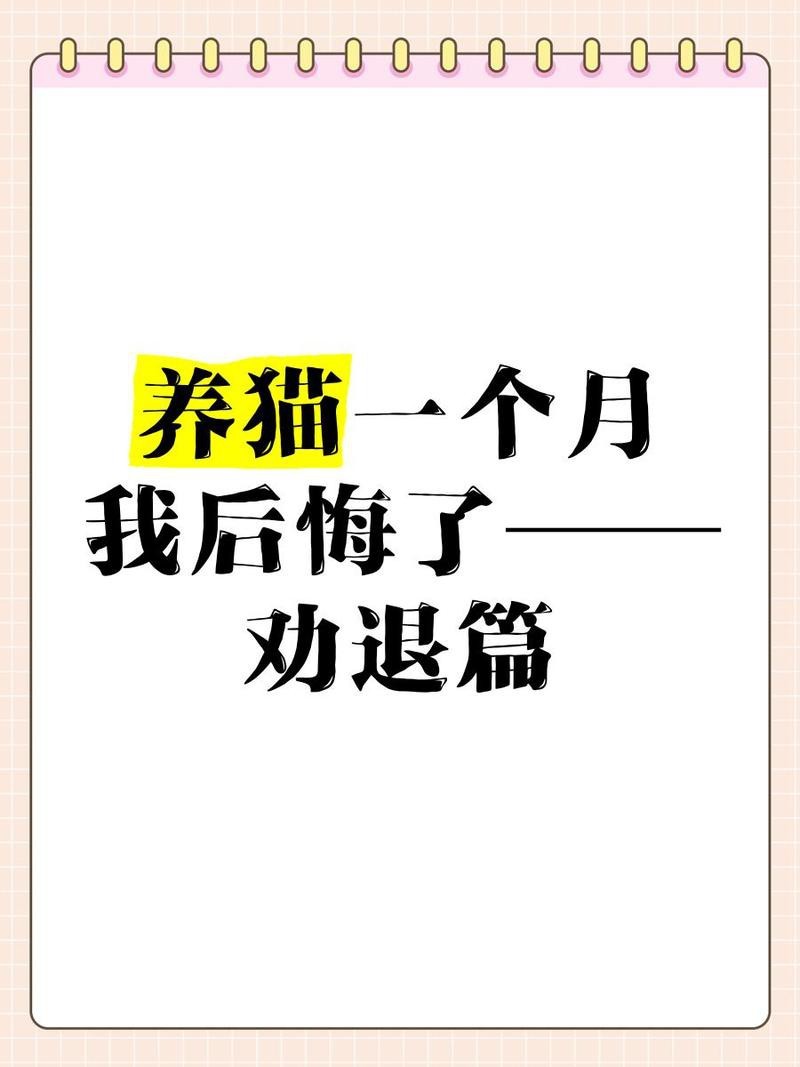 養了貓我就后悔了【養貓之悔意與自由的永恒博弈】