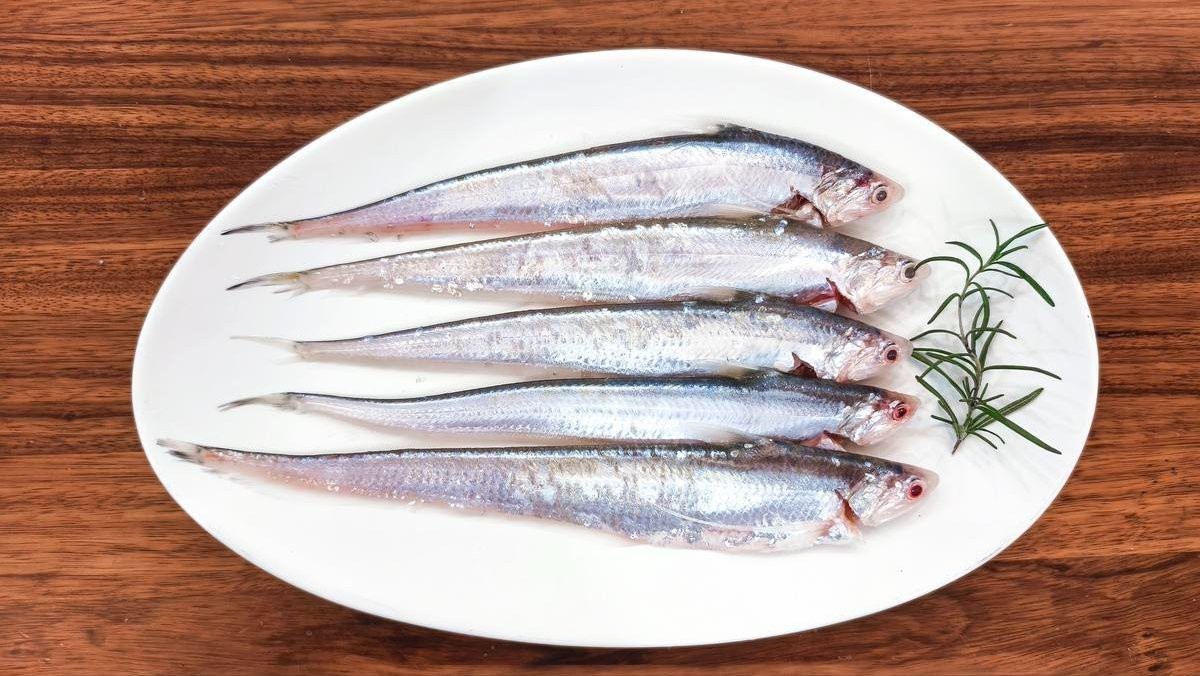 刀片魚一斤多少錢【澎湃新聞,釣到6000元/斤長江刀魚!】