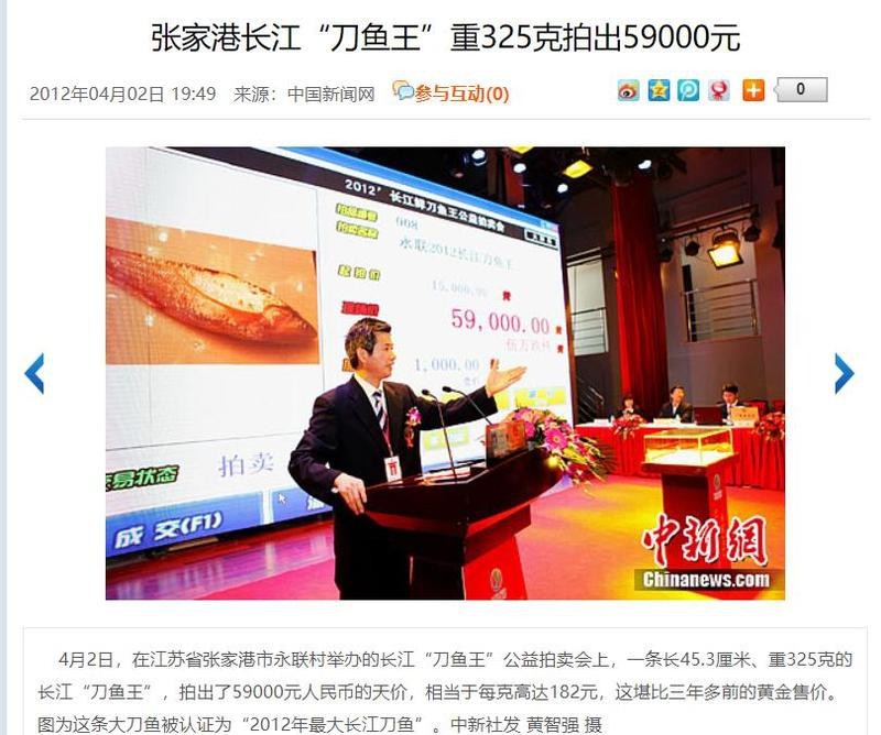 刀片魚一斤多少錢【澎湃新聞,釣到6000元/斤長江刀魚!】