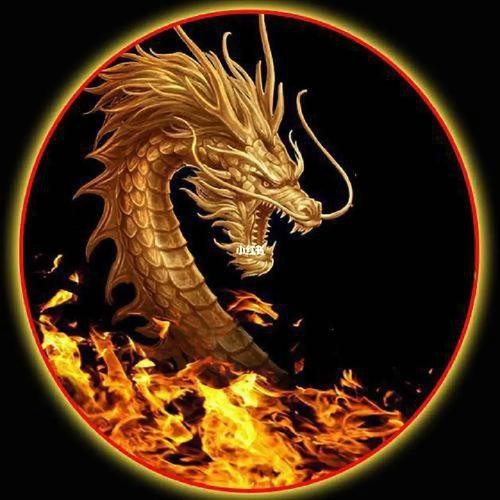 能推薦一些高清金龍微信頭像嗎？【高清金龍微信頭像分享】