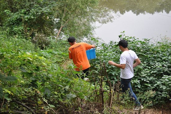 蠑螈不想養(yǎng)了丟河里可以嗎【東方蠑螈不想養(yǎng)了丟河里可以嗎】