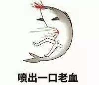 連州龍魚店【《連州龍魚店：水族世界的奇妙角落》】