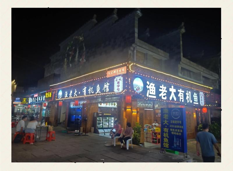 金湖龍魚店【廈門金湖龍魚店】