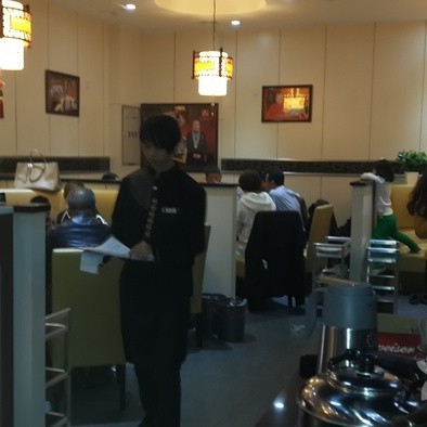 松江龍魚店【廣州聚龍灣龍魚專賣店魚一哥寶塔鍋王(】